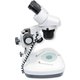 Binocular Microscope ZTX-20-C2 (10x; 2x/4x)